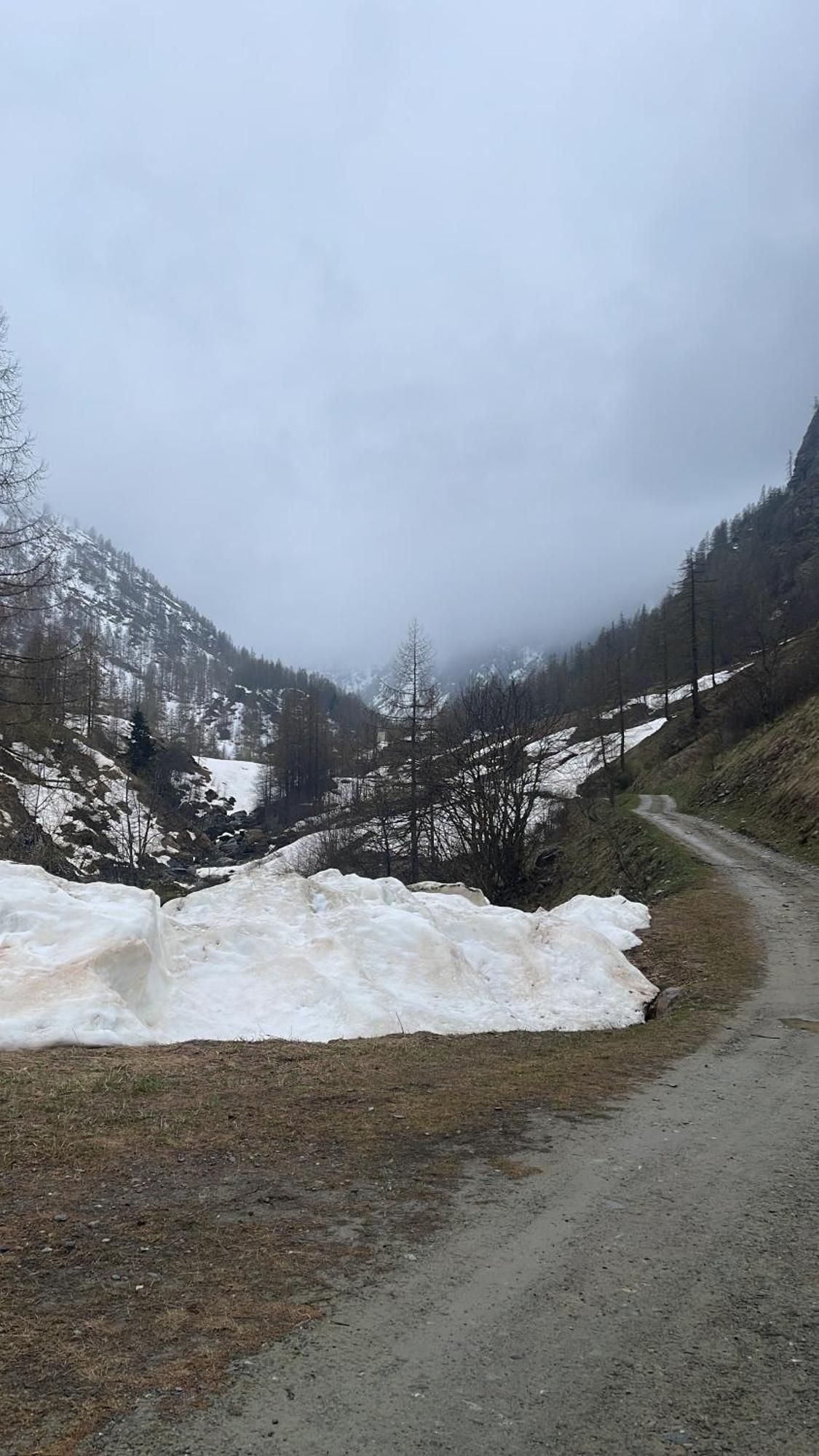 Laghi Di Como Appartamento Di Licinia E Mario Asso Εξωτερικό φωτογραφία