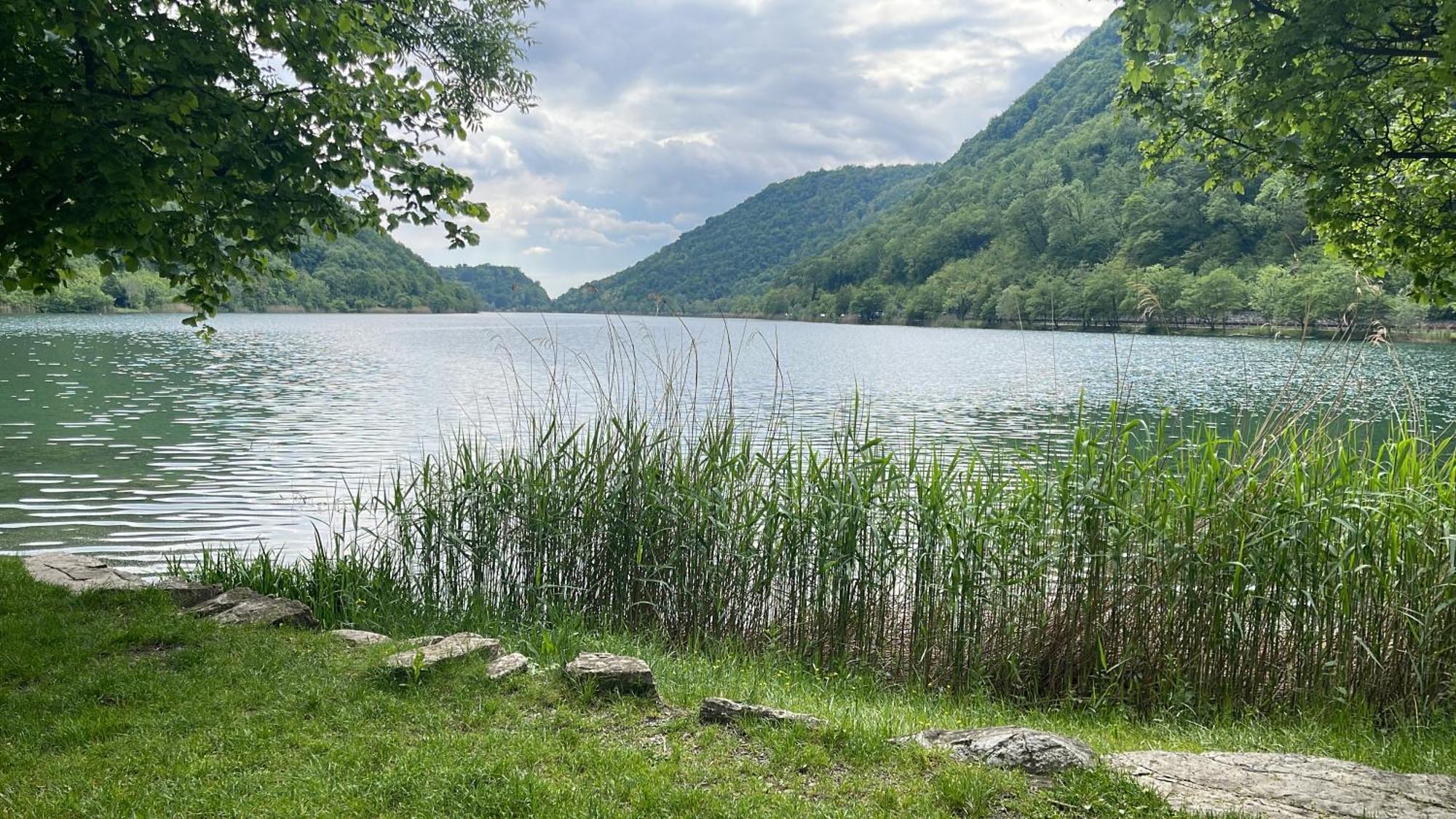 Laghi Di Como Appartamento Di Licinia E Mario Asso Εξωτερικό φωτογραφία